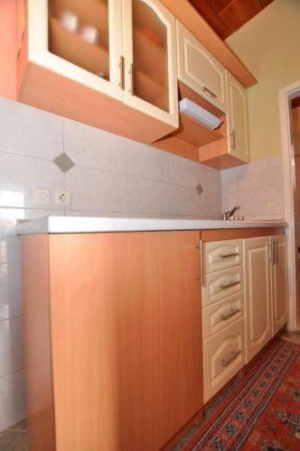 Apartment Vida